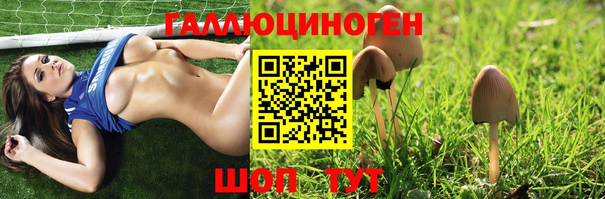 Псилоцибиновые грибы Psilocybe Иваново
